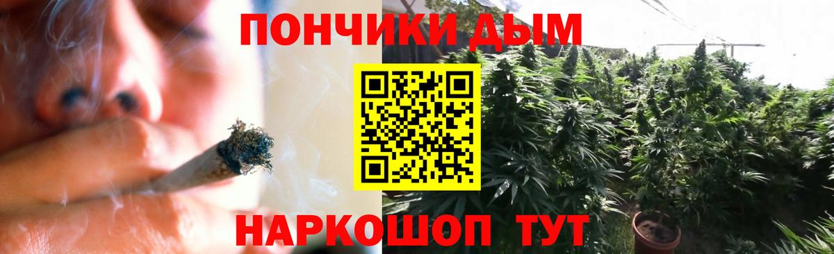Бошки Шишки планчик Краснокаменск